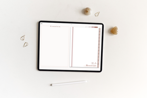 Gratitude & Manifestation Journal