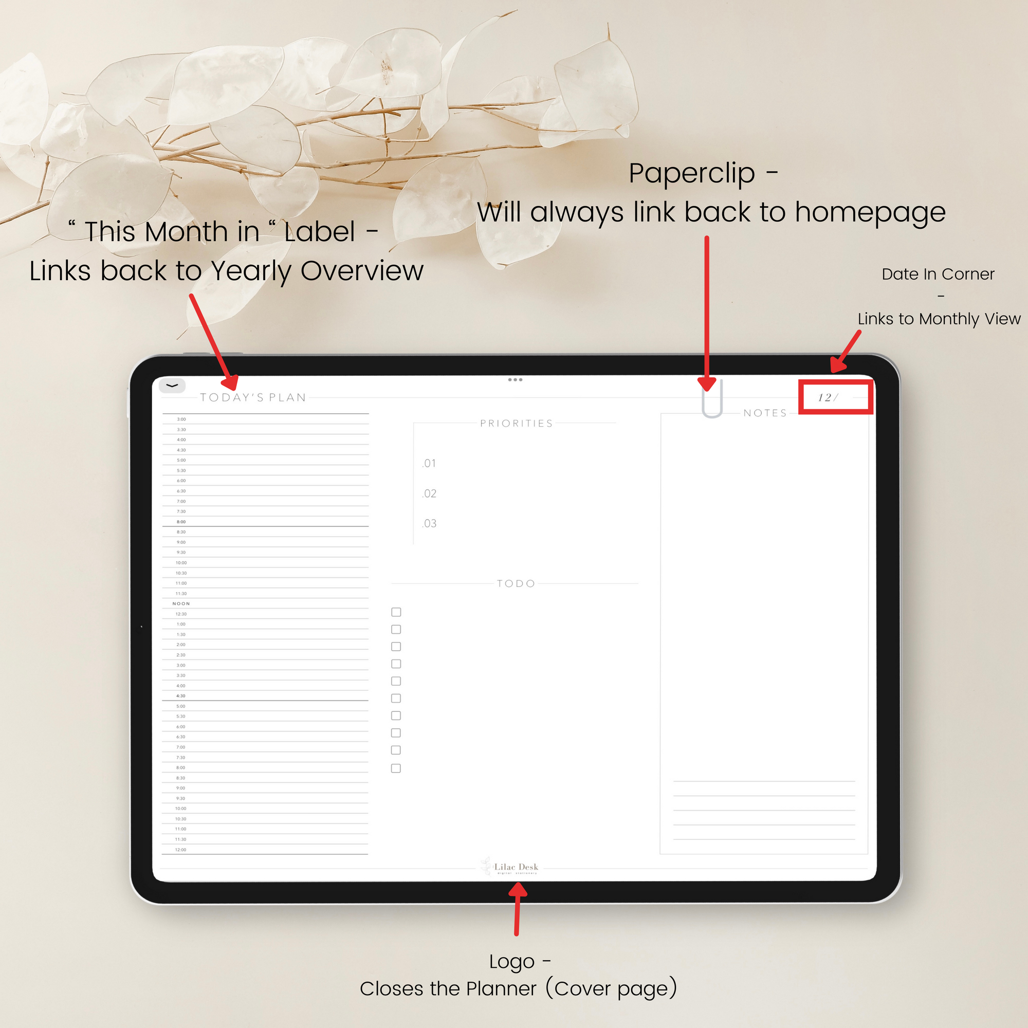 Full Undated Minimal Plans | Pink Varsity Vol. 2 ( Sunday Start )